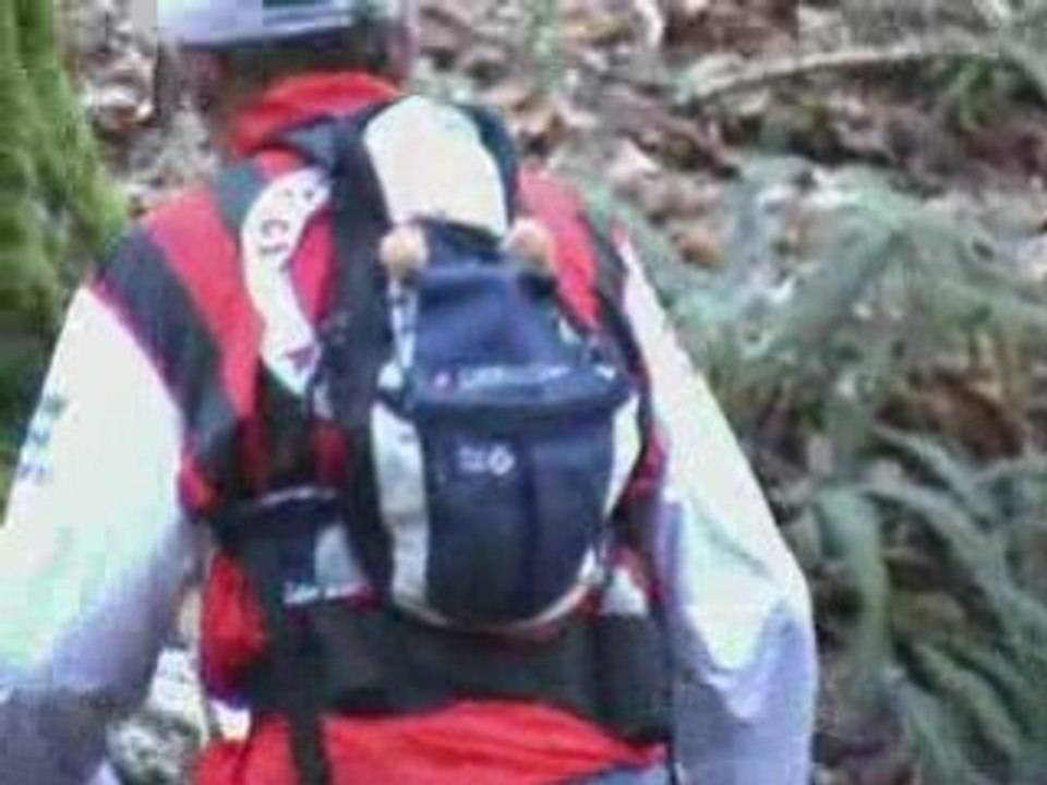 Trail à Camors : les korrigans retrouvent le calme...