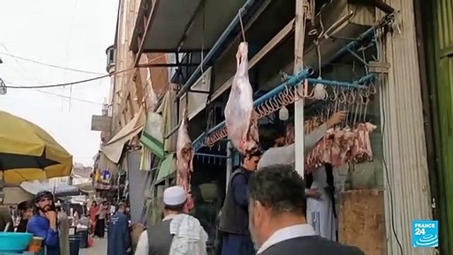 Siete de cada diez niños en Afganistán están obligados a trabajar según UNICEF