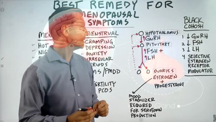 Best Remedy for Hot Flashes and Menstrual Problems- Dr Burg