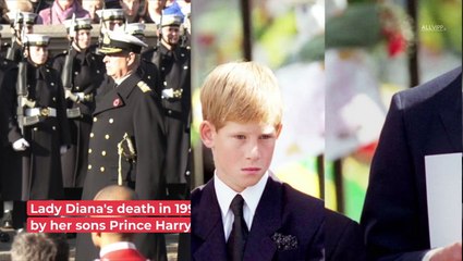 Police Chief Talks About Conversation With Harry and William After Lady Diana's Death