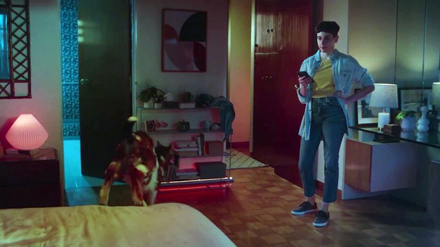 WhatsApp: administradores de grupos poderão apagar mensagens de participantes