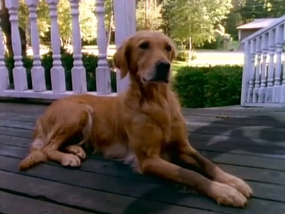 Gänsehaut - Die Stunde der Geister Staffel 2 Folge 9 HD Deutsch