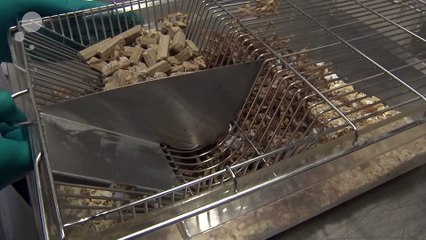 Alzheimer: troca de sangue pode ser caminho para novo tratamento