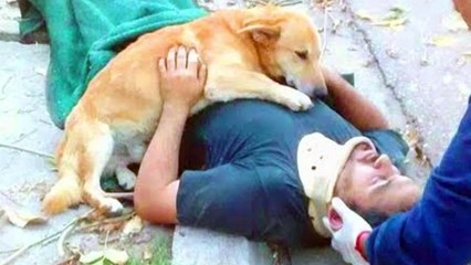 15 Heartbreaking Goodbyes Between Pets And Their Owners