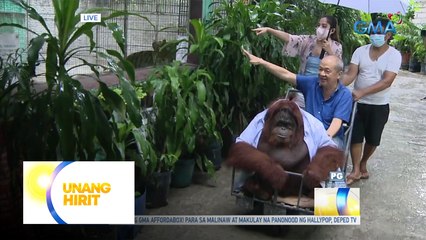 Ang Lupet: Classmate orangutan, ready na for back-to-school with Shaira Diaz!
