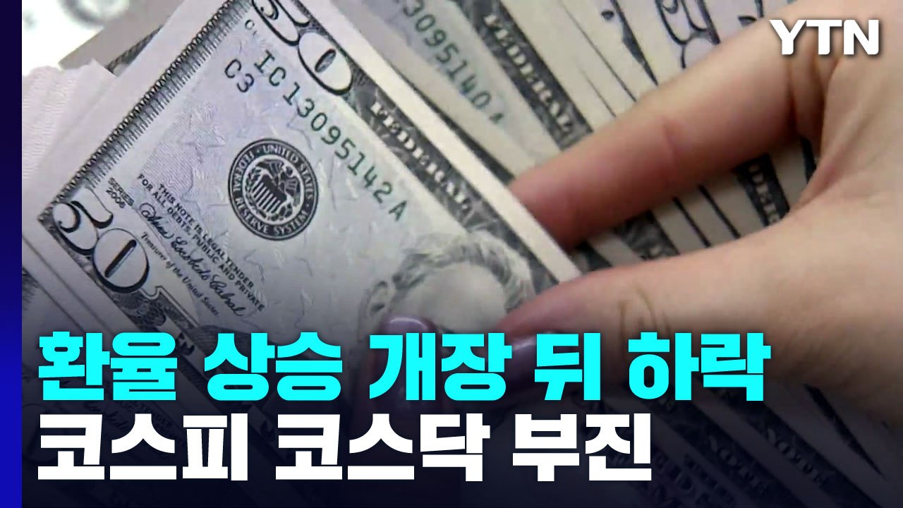 환율 상승 개장 뒤 하락...증시는 내림세 / YTN