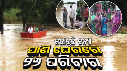 Special Story | Flood misery seems unending in Odisha's Jagatsinghpur