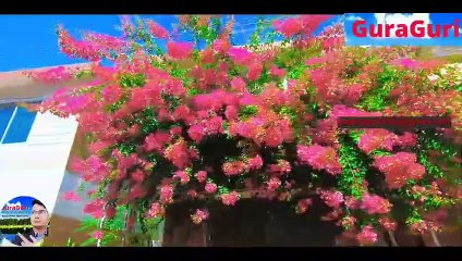 Little London in Bangladesh. Sylhet Valley City _ দেখতে পুরোটাই লন্ডনের মত.