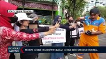 Pecinta Kucing Kecam Penembakan Kucing Oleh Seorang Jenderal