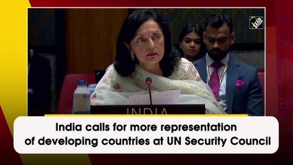 India calls for more representation of developing countries at UN Security Council