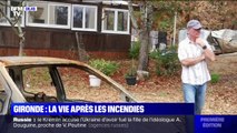 Gironde: la vie après les incendies à La Teste-de-Buch