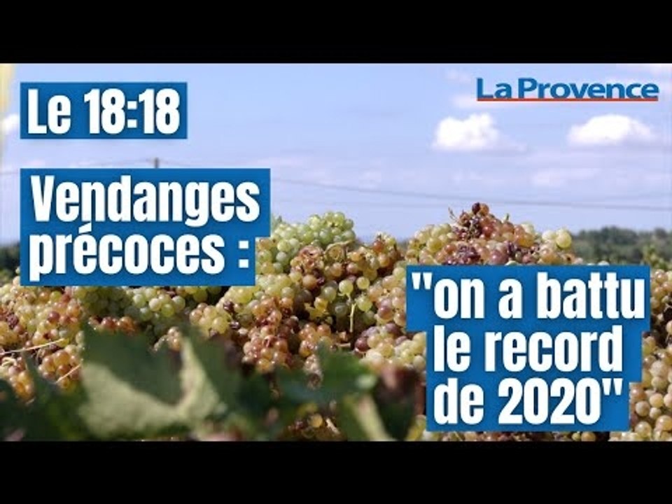 Vendanges précoces en Vaucluse : « si les étés secs se poursuivent, il faudra s’adapter »
