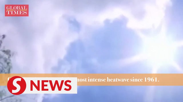 How is Chongqing dealing with 2022’s historic heatwave?