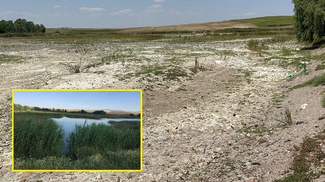 Pınarbaşı akarsuyu kurudu, birçok canlı öldü