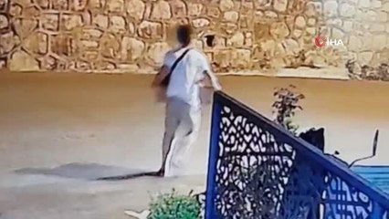 Yol kenarındaki çiçeği saksıyla beraber böyle çaldı