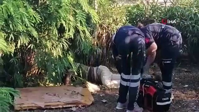 Antalyada otluk alanda köpek tarafından bulunan cesedin kimliği belirlendi