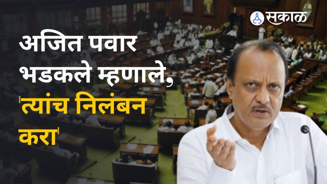 Maharashtra Assembly :Ajit Pawar एका चुकीवर असे भडकले की थेट विधानसभेतच त्यांनी निलंबनाची मागणी केली