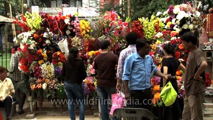 Artificial flowers for home decoration _ Lajpat Nagar Market