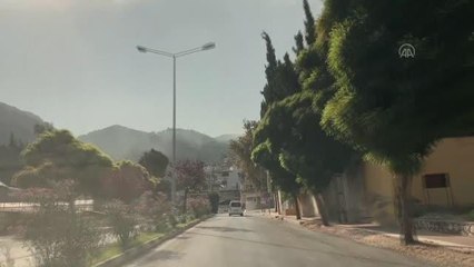 Son dakika haberi! Hatay'da çıkan orman yangını kontrol altına alındı