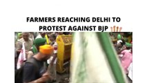 FARMERS REACHED DELHI AGAIN TO PROTEST AGAINST GOVERNMENT/NARESH TIKAIT