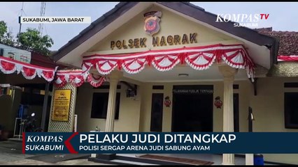 Polisi Sergap Arena Judi Sabung Ayam