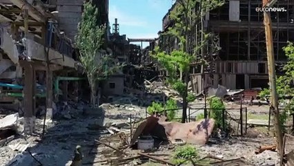 Nadelstiche in offene Wunden: Asow-Kämpfer werfen Russland schwere Folter vor