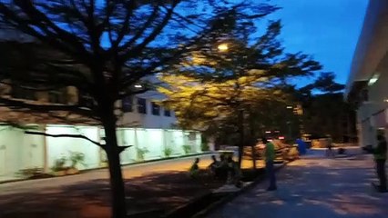 Good Morning শুভ সকাল সুপ্রভাত