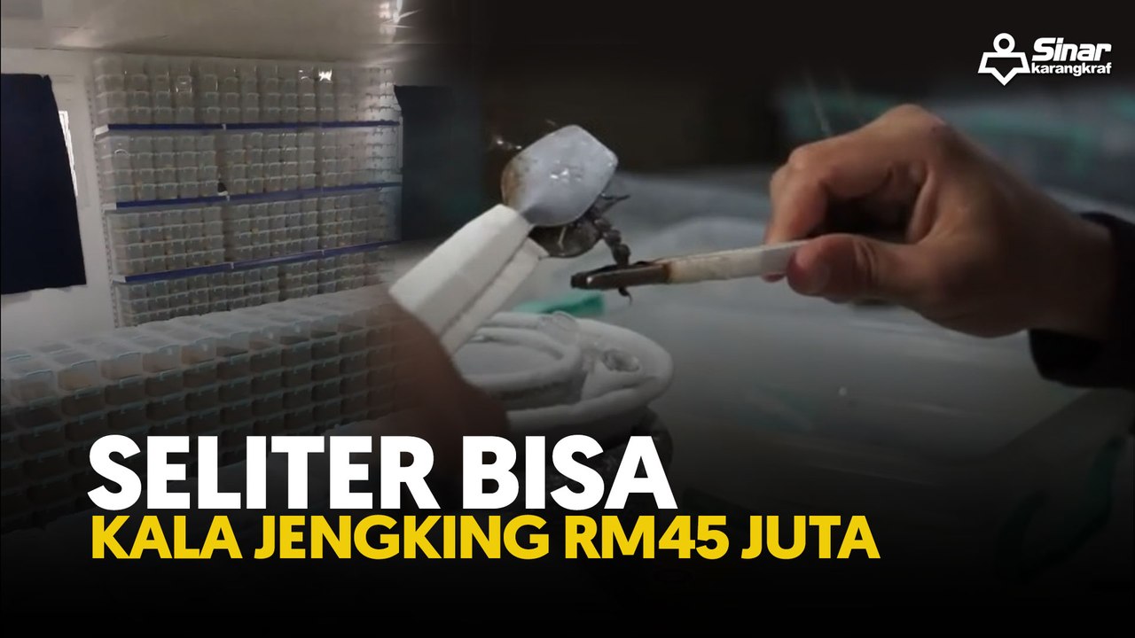 Seliter bisa kala jengking RM45 juta
