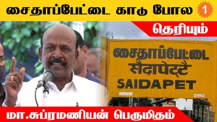மேலே இருந்து பார்த்தால் சைதாப்பேட்டை காடு போல தெரியும்... அமைச்சர் மா.சுப்ரமணியன் பெருமிதம்