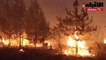 حرائق الغابات تستعر في منطقة ريازان الروسية
