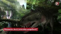Dinosaurier durch Asteroiden ausgelöscht?