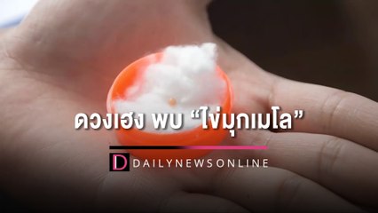 กรี๊ดลั่นร้าน!สาวฉลองวันเกิดดวงเฮง พบ “ไข่มุกเมโล”ในหอยหวาน | HOTSHOT เดลินิวส์ 22/08/65