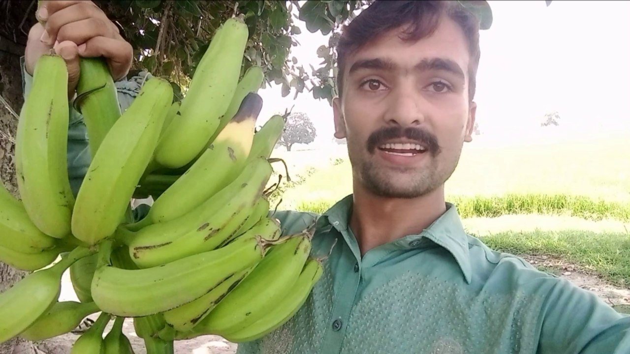 wow dosri bar pher