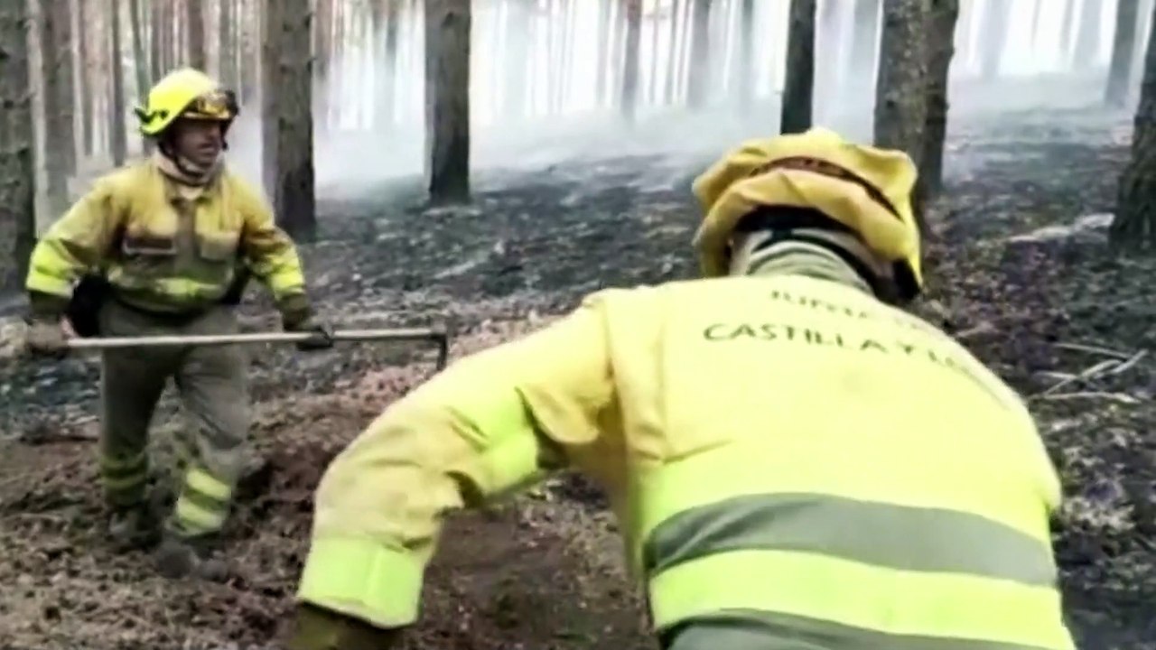 “La hamburguesa que no pudo ser” ayuda a ganaderos y agricultores afectados por los incendios