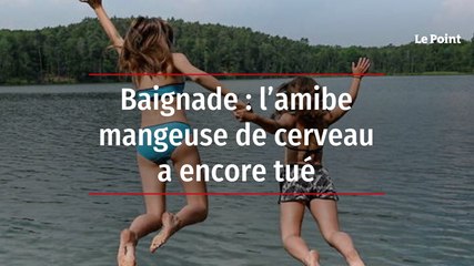 Baignade : l’amibe mangeuse de cerveau a encore tué