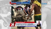 Kalabaw at karosa, nagsilbing school service ng ilang estudyante | 24 Oras