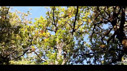 beauté de nord du  maroc ; جمال شمال المغرب