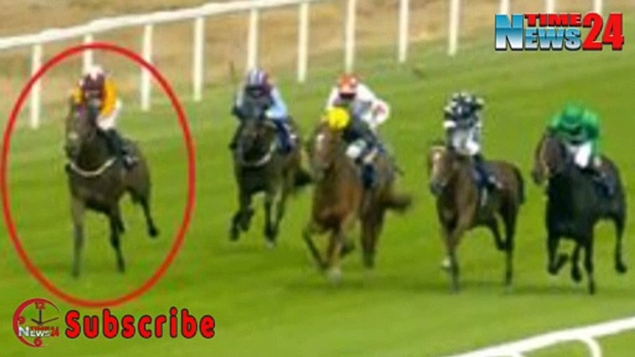 CRASH HORROR | Woman critically injured and racehorse dies in horrific road crash