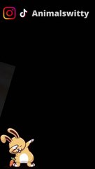 Puppy And Rabbit Eating Strawberry Witty And Funny Animal Videos 2022 6