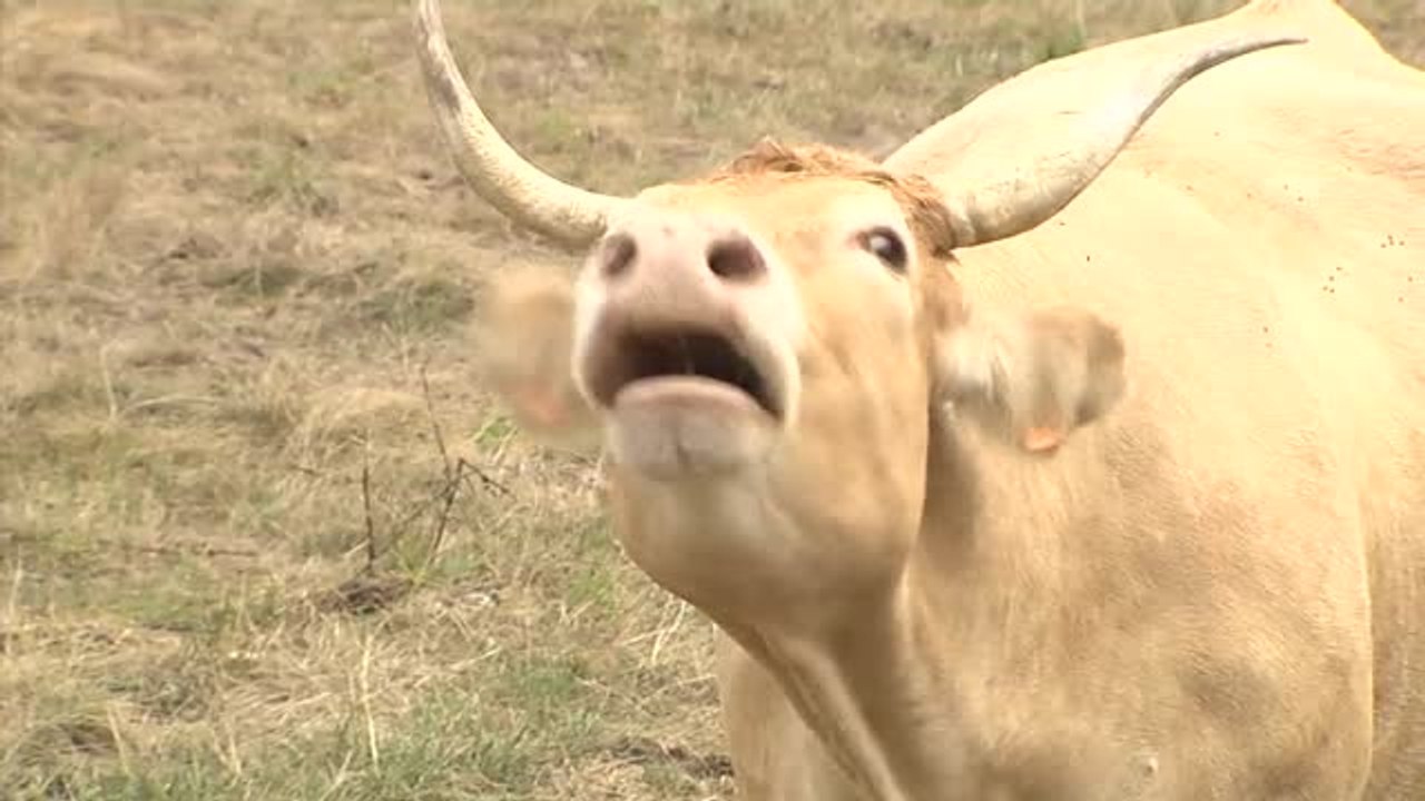 El precio de la luz dificulta la supervivencia de muchos negocios