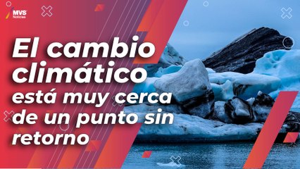 Nueva alerta ante riesgo de la vida marina por cambio climático