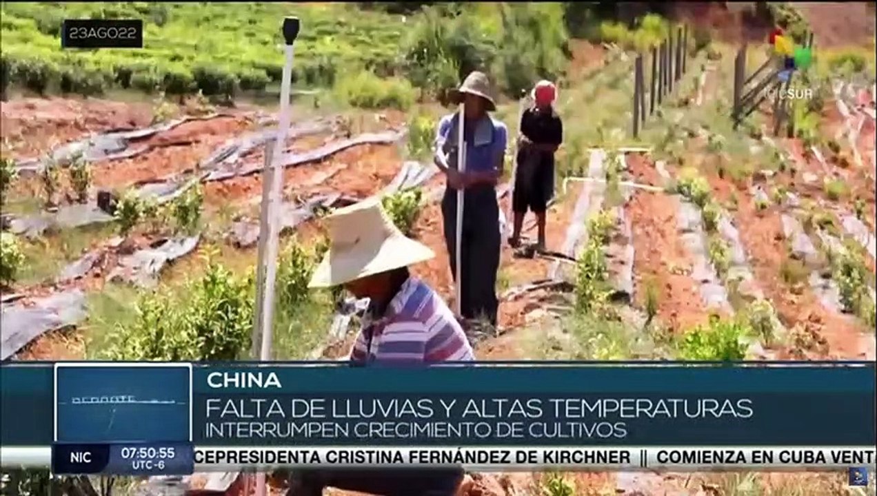 China trabaja por aliviar la peor sequía en décadas