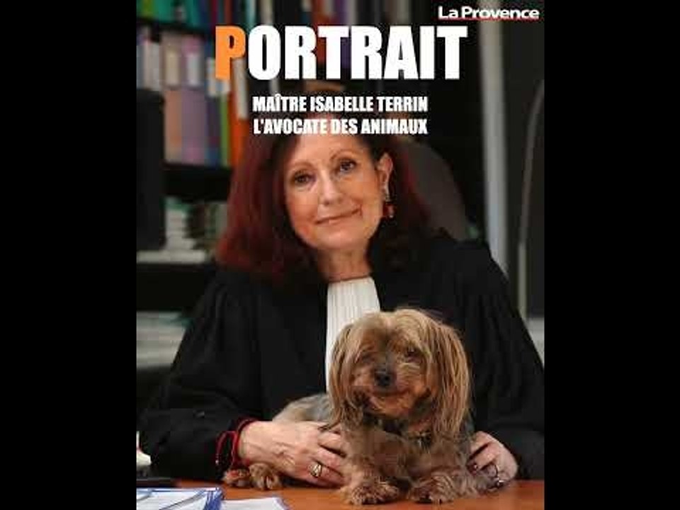 Maltraitance animale : nos animaux domestiques ont leur avocat !