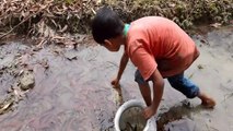 Amazing Fish  Catching By Hand || Smart Boy Hand Fishing Video || Fishing Method