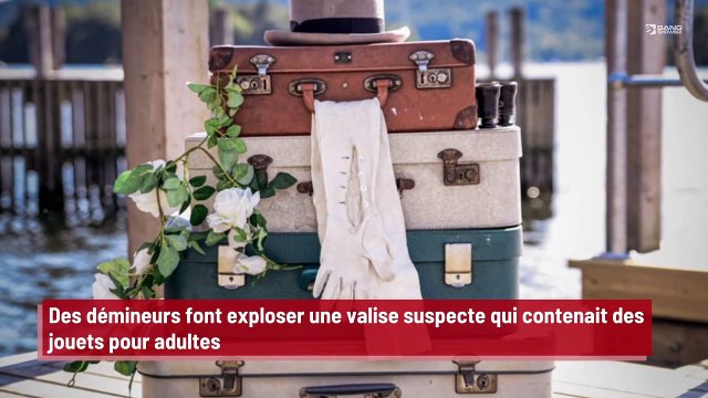 Des démineurs font exploser une valise suspecte qui contenait des jouets pour adultes !