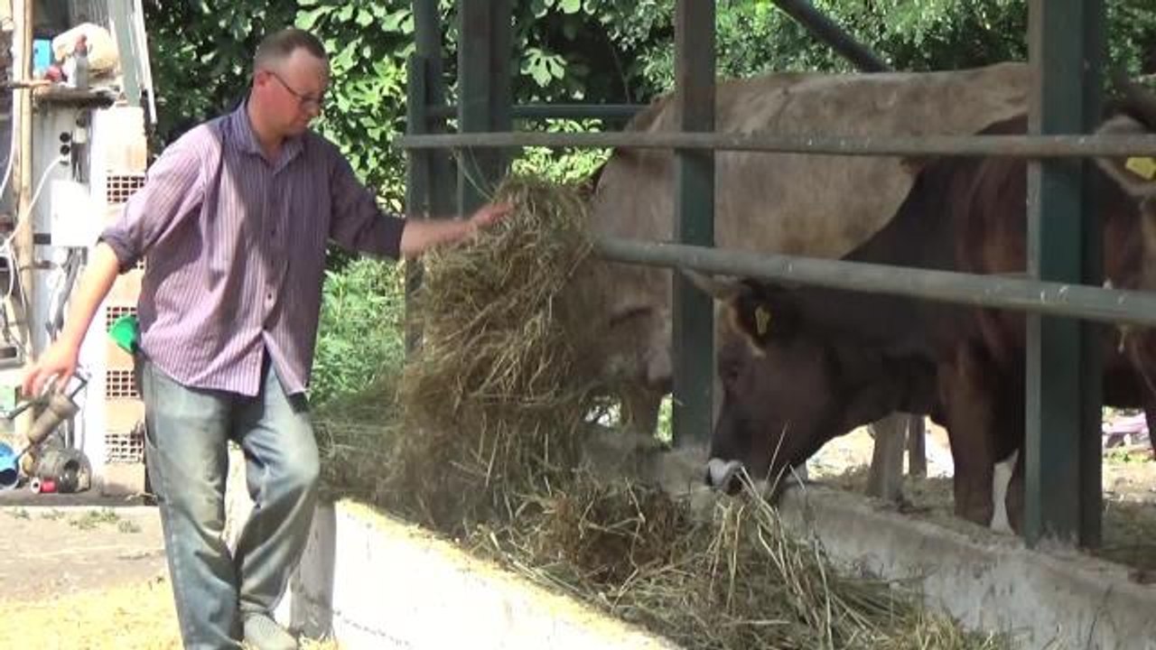 Edirne yerel haberi Edirneli Besici &quot;Et Fiyatları Düştü ve Talep Yok