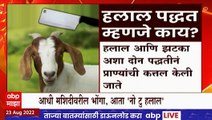 Raj Thackeray Special Report :आधी भोंग्यांवर प्रहार, आता 'नो टू हलाल', मनसेची नवी मोहीम? ABP Majha