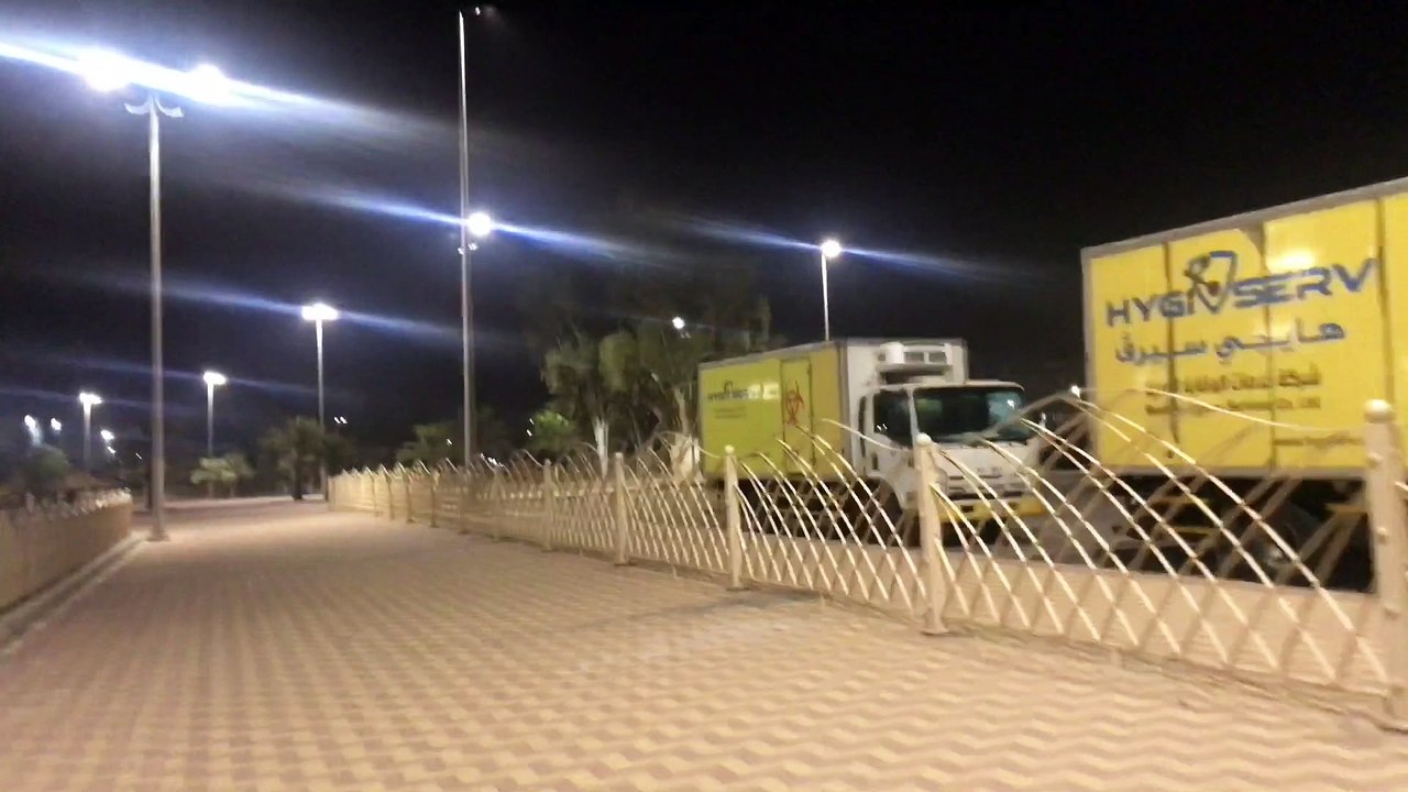تمشية في الحديقة