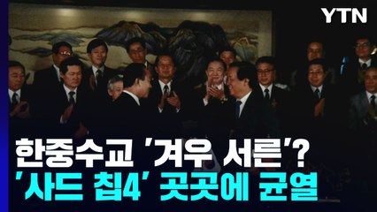 한중수교 '겨우 서른'?...'사드·칩4' 곳곳에 균열 / YTN