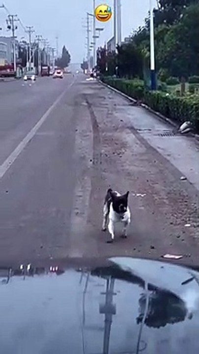 Viral Videos  | Trending | TikTok  | WhatsApp Status | Comedy | Funny Video #shorts #funnyvideos